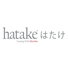 hatake